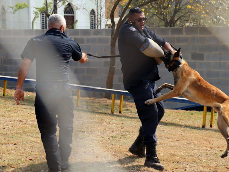 Cães de outras GCMs mostraram as técnicas e o treinamento recebido para atuarem na prevenção e segurança