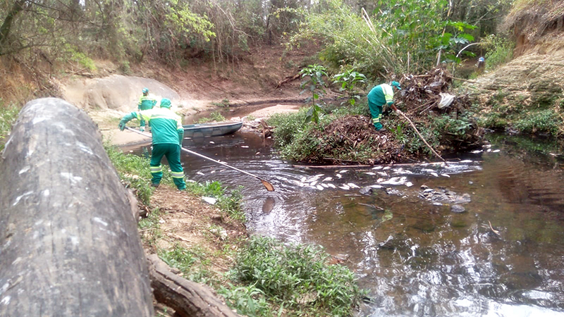 Morte de peixes em Salto