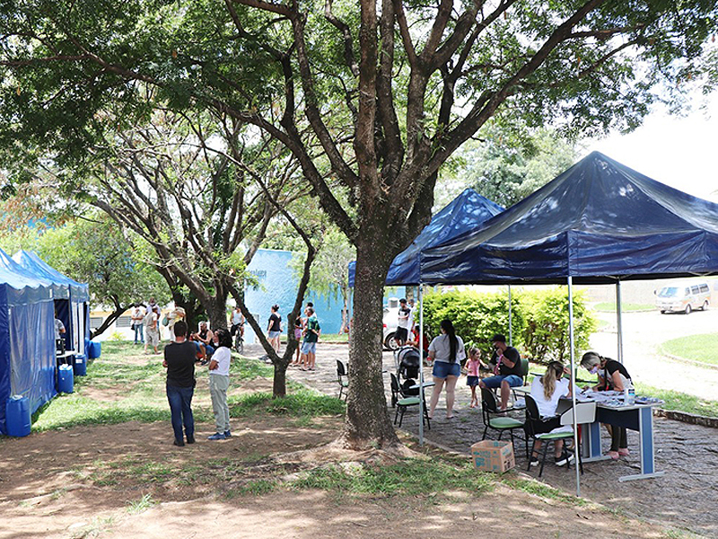 Animais selecionados foram castrados em mutirão local