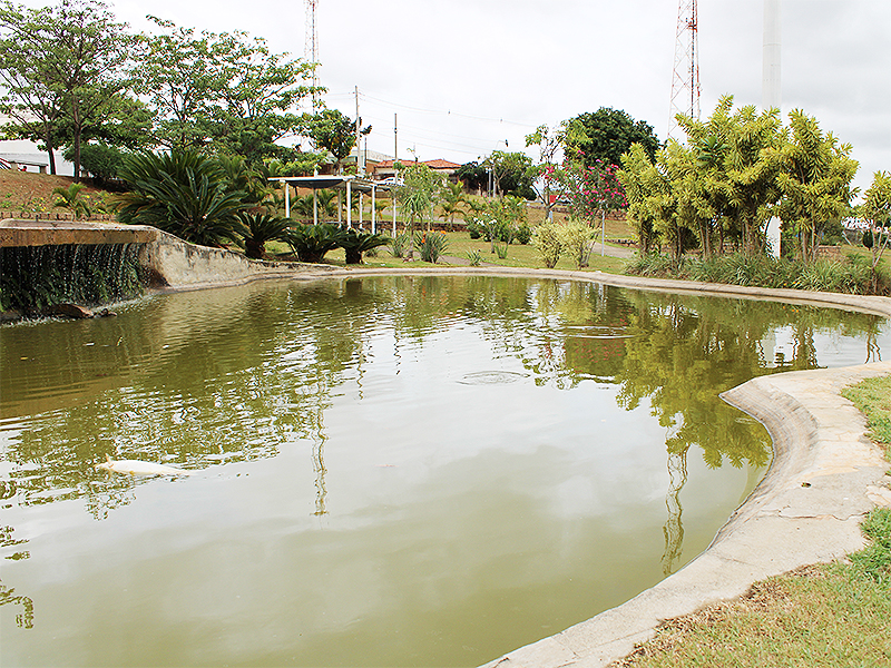 Peixes mortos em lago do Jardim do Luz