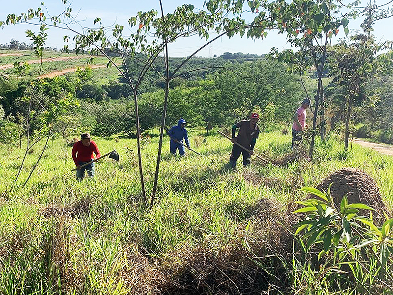 Plantio das árvores foi organizado e coordenado pelo agrônomo João De Conti Neto, da EPM