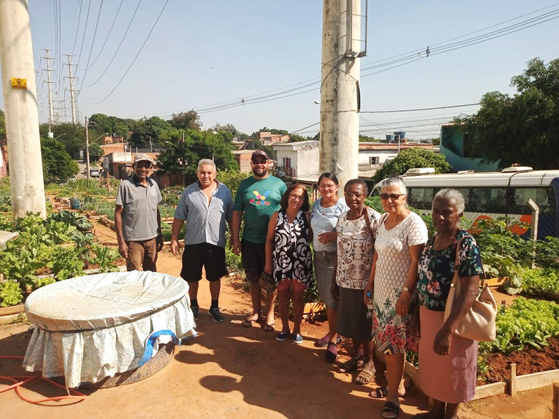 projeto social de horta comunitária